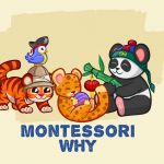 admin profile picture