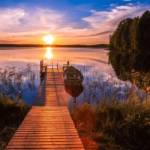 hasenhomedrain hasenhomedrain Profile Picture