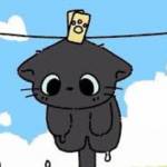 Baixiao Profile Picture